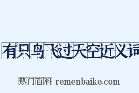 有只鸟飞过天空近义词是什么意思的图片